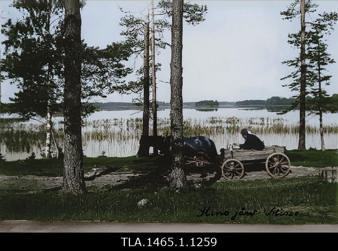 Hino järv